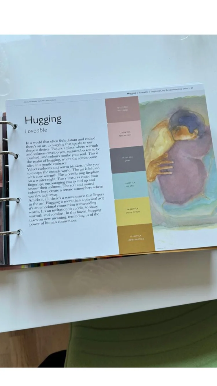 Created illustrations for the Pantoneview Colourplanner #53 forecasting colours for A/W25/26 in collaboration with Studio Boddy