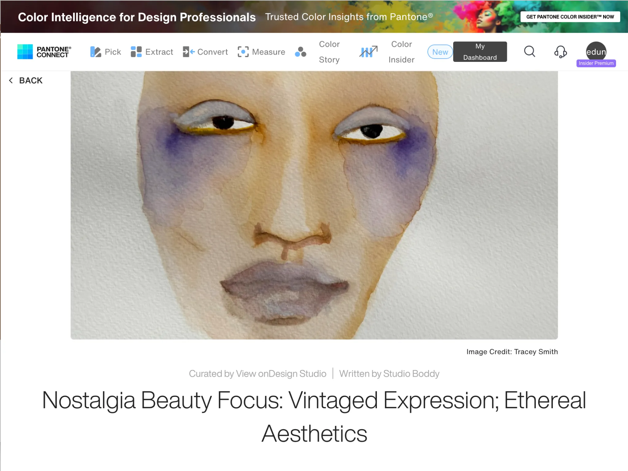 Beauty illustration by Tracey Smith.