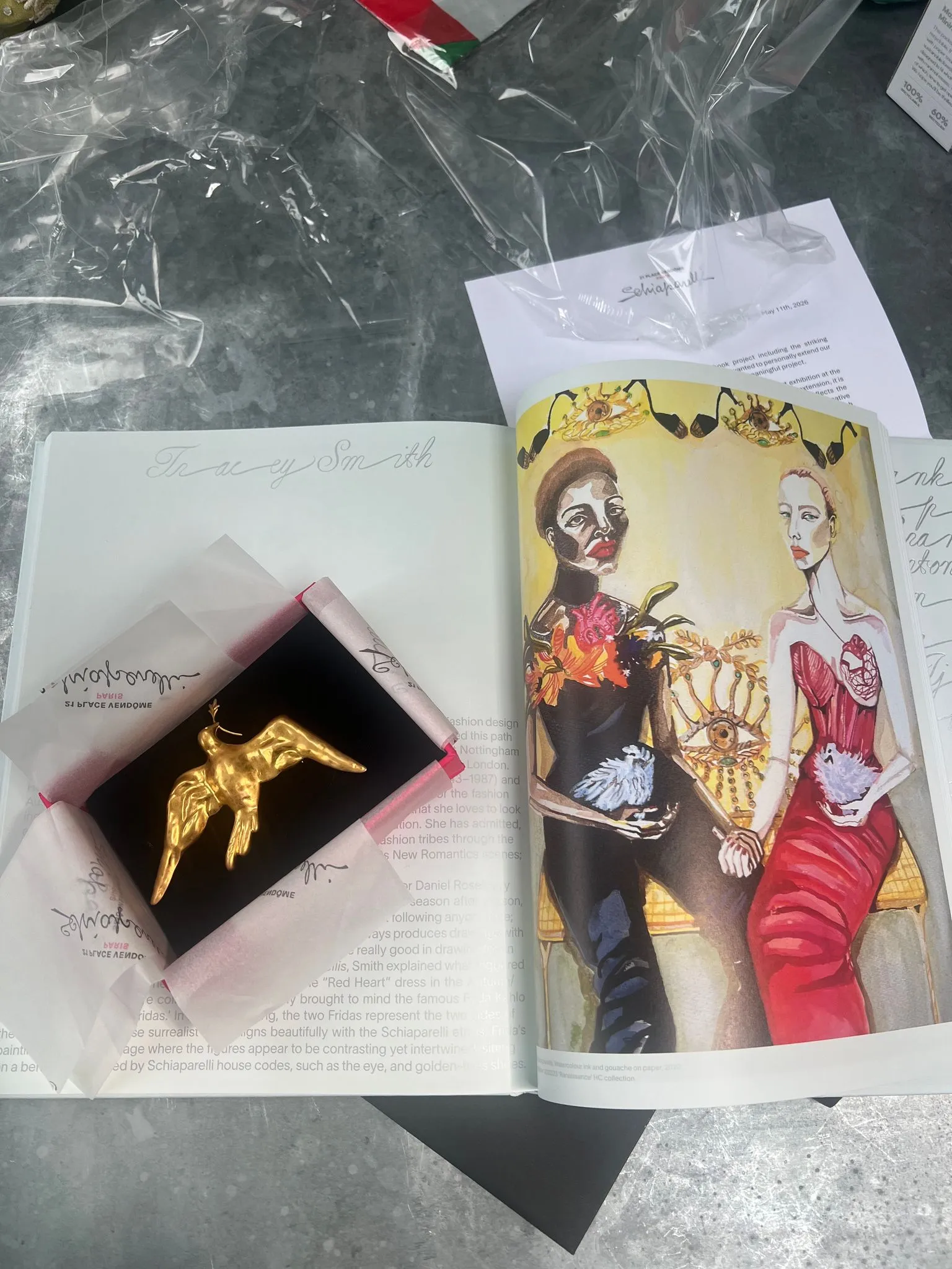 Schiaparelli Anglomaniac book featuring illustration by Tracey Smith.