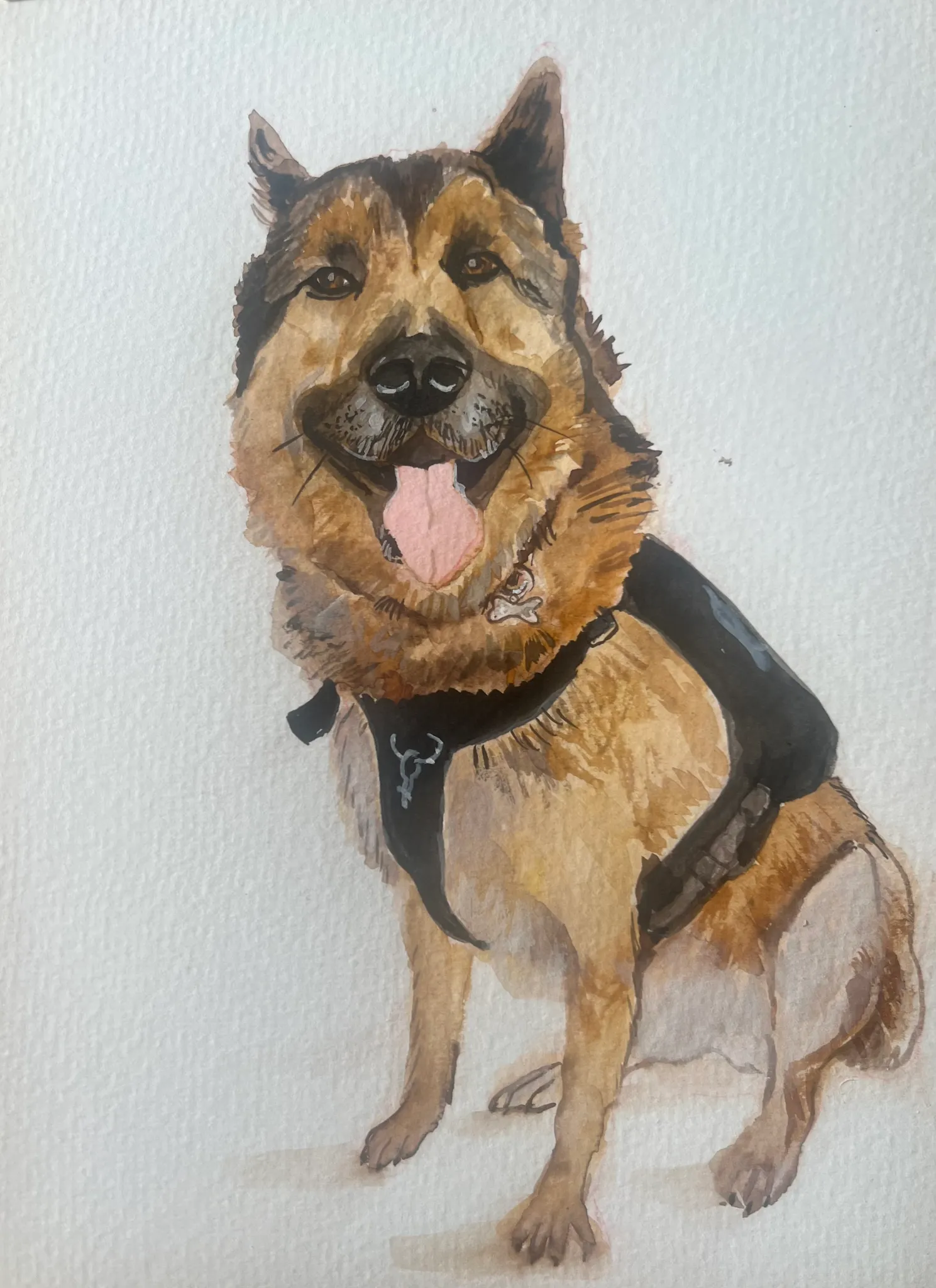 Dog portrait commission watercolour illustration by Tracey Smith